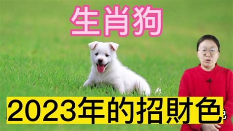 生肖狗 幸運色|【屬狗2024生肖運勢】運勢荊棘滿途，當心血光之。